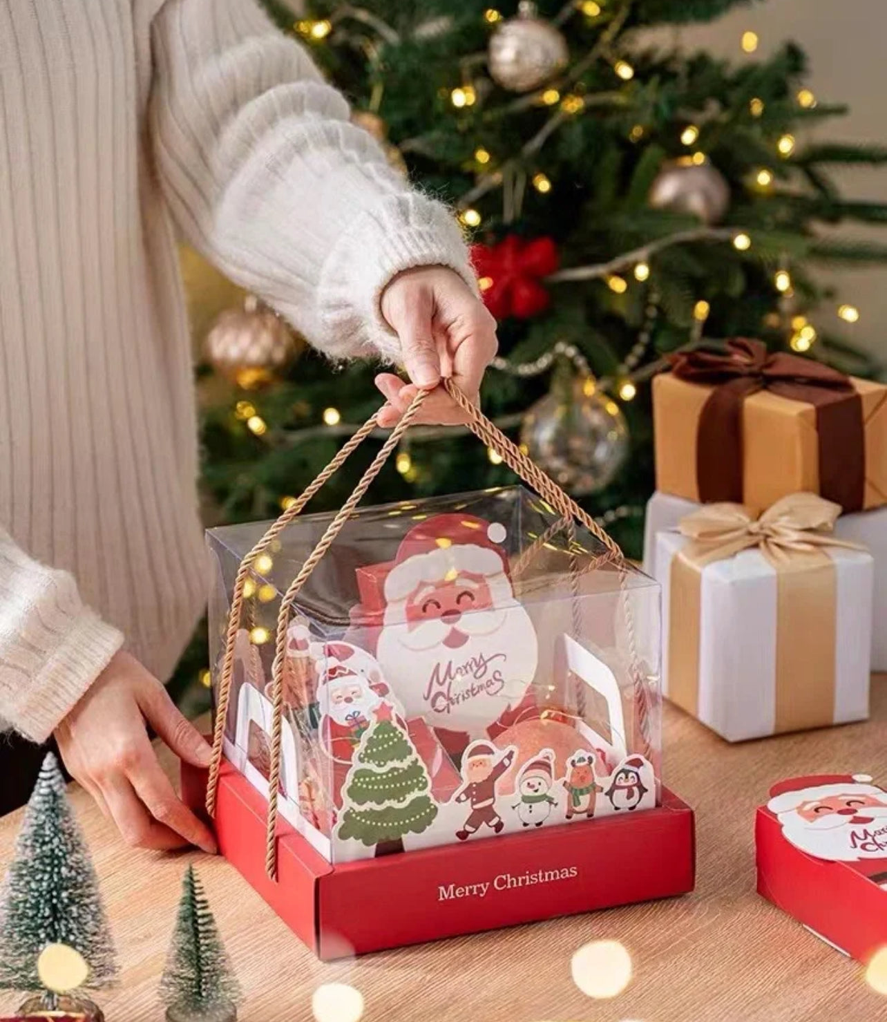 Xmas Gift Box Packaging (PWP)