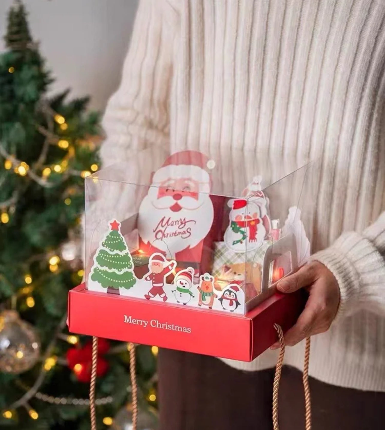 Xmas Gift Box Packaging (PWP)