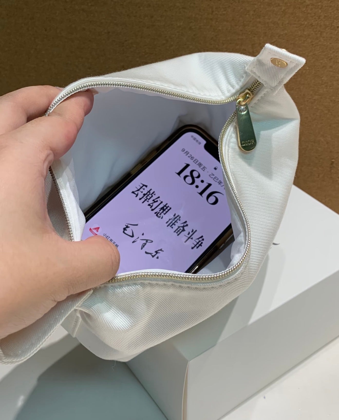 Dior Dumpling Silk Pouch