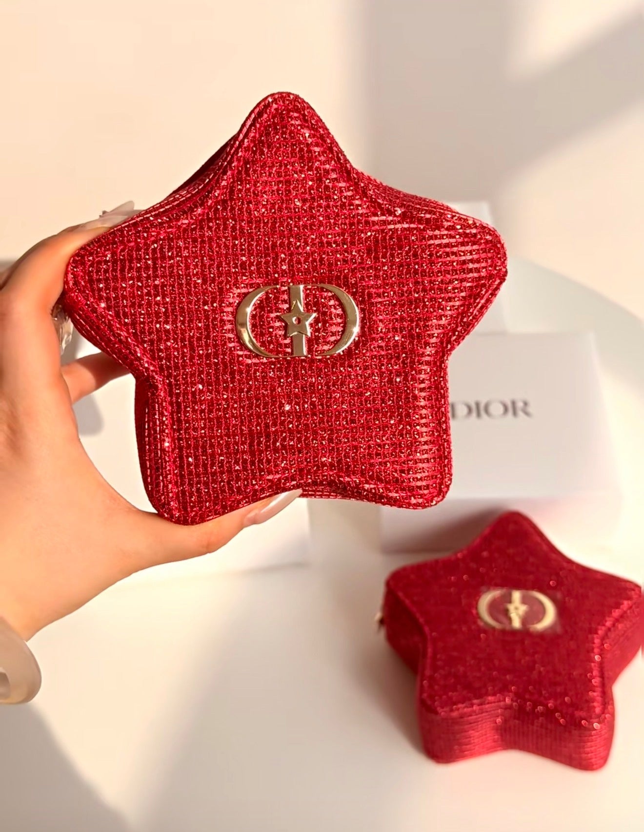Dior New Year Star Pouch