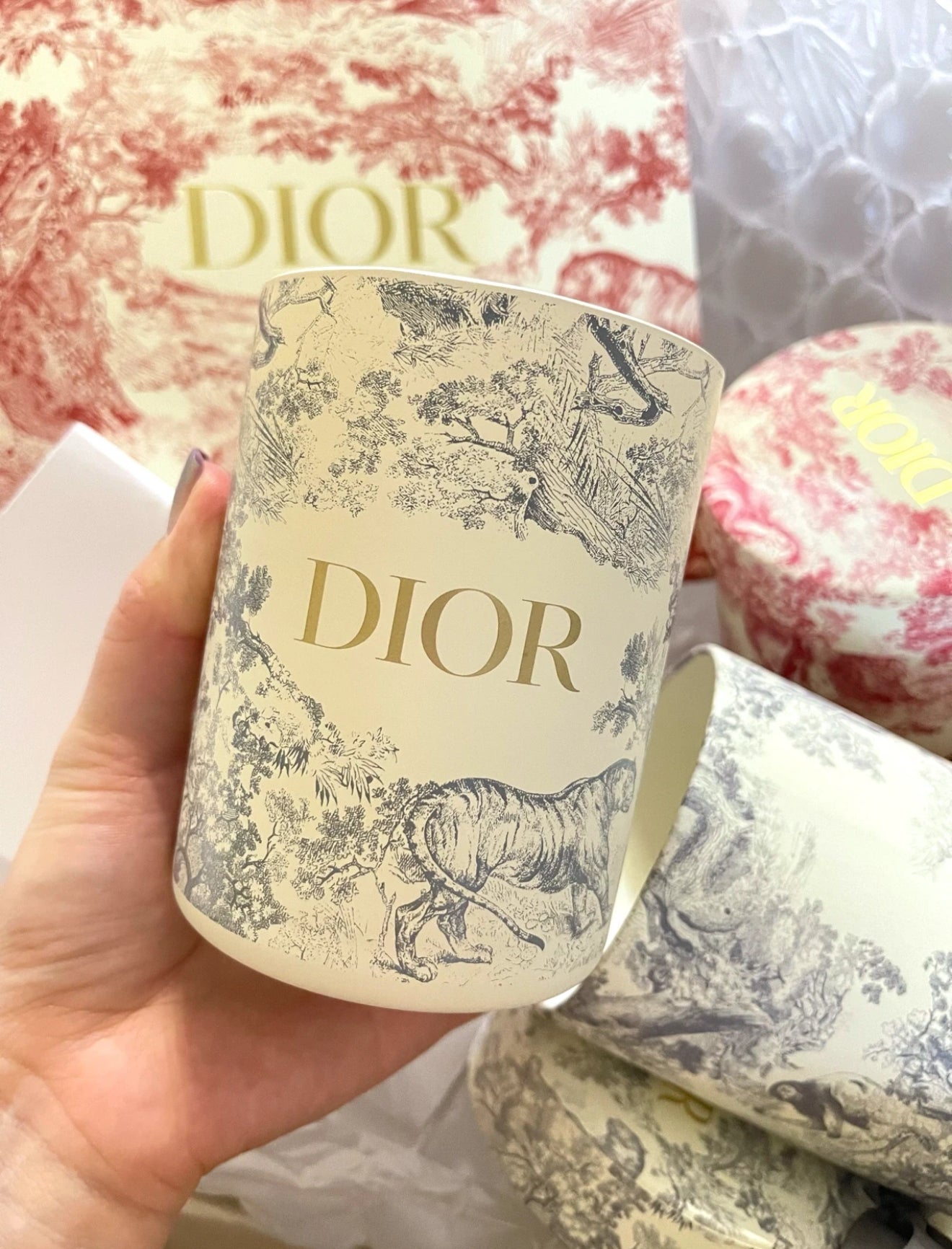 Dior Limited Hydrangea Candle