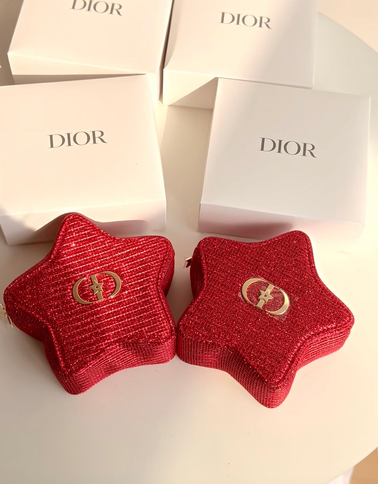 Dior New Year Star Pouch