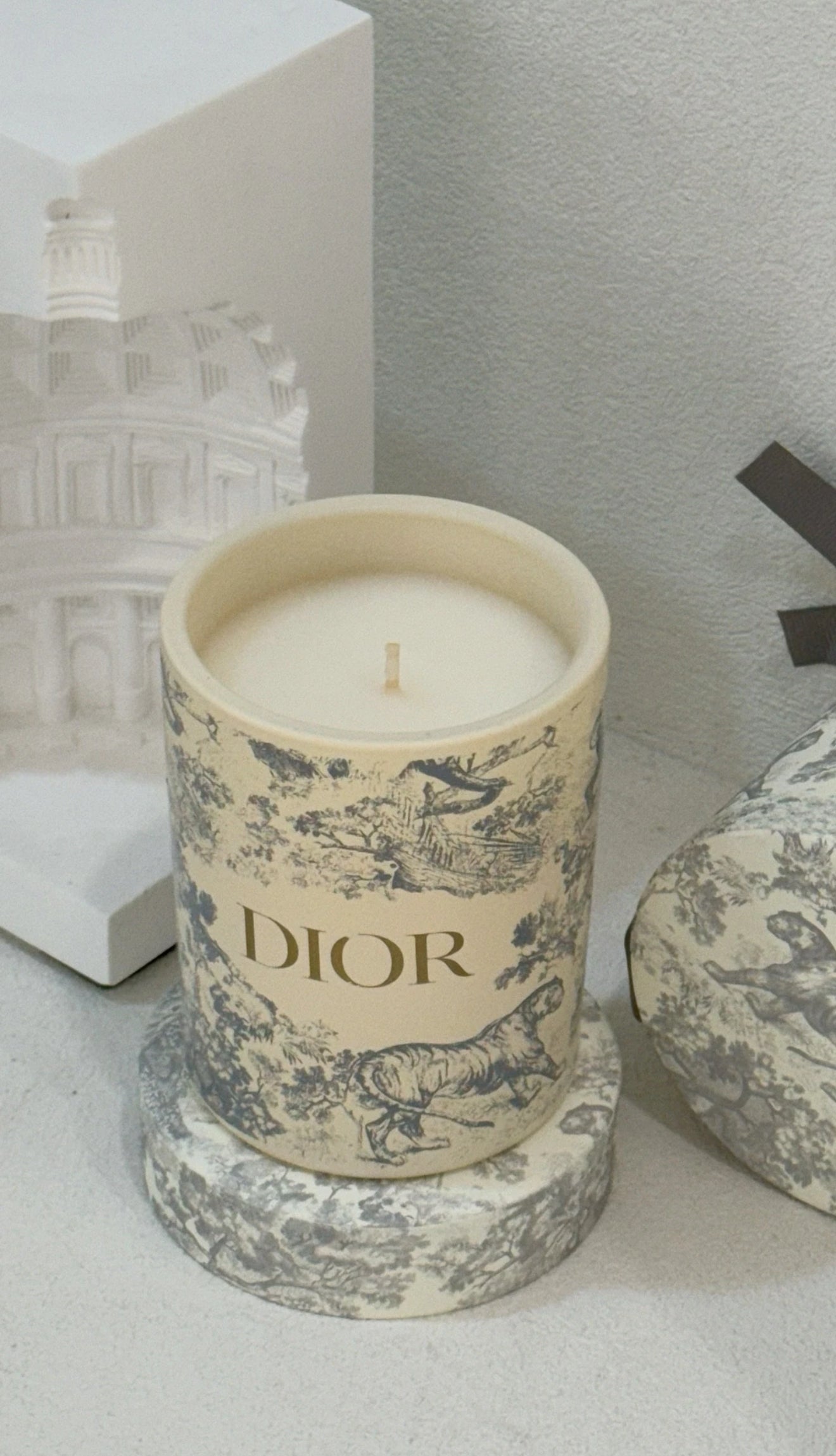 Dior Limited Hydrangea Candle