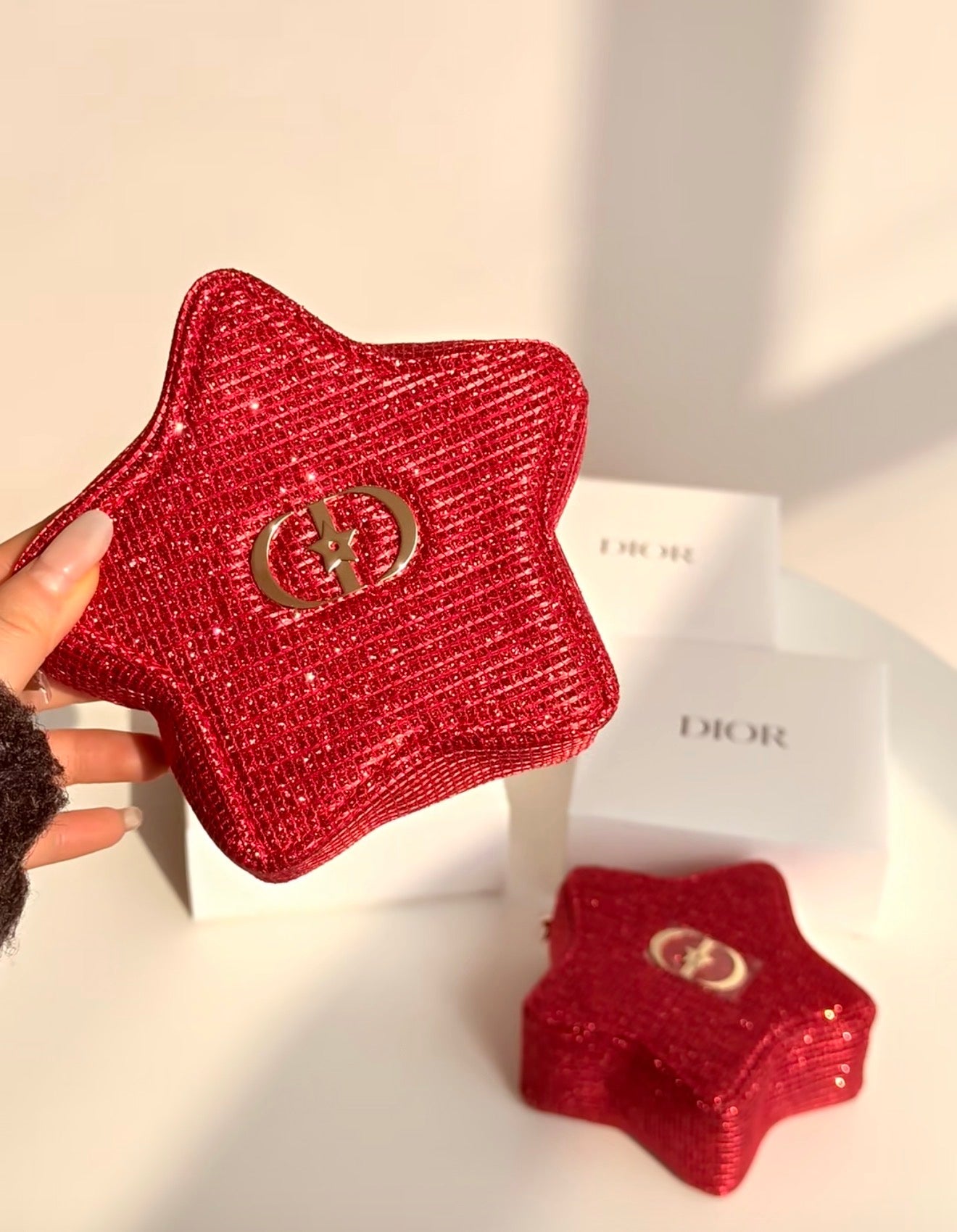 Dior New Year Star Pouch