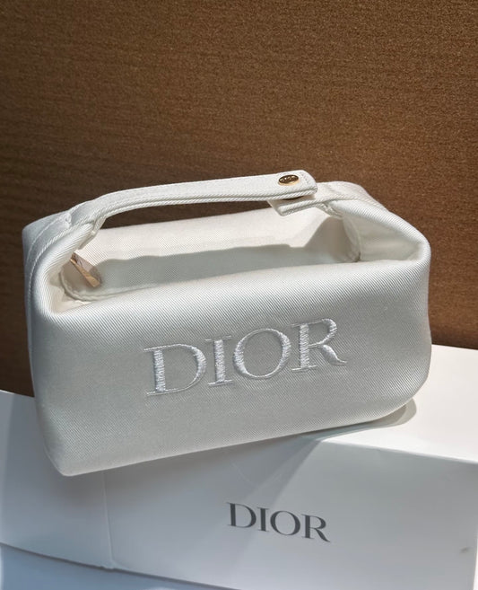 Dior Dumpling Silk Pouch