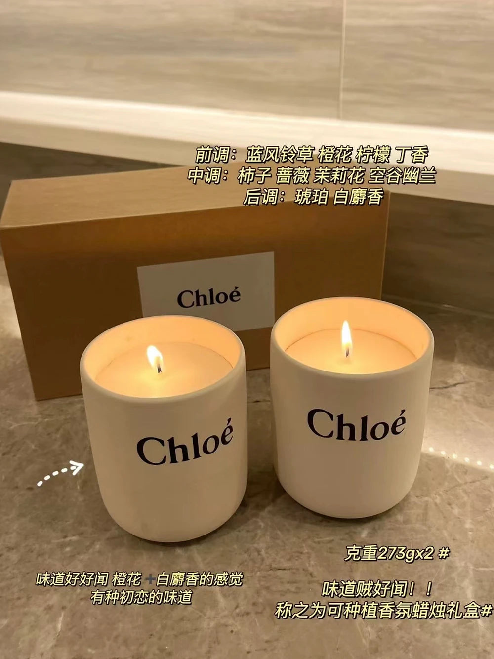 Chloe Candle Plant Set